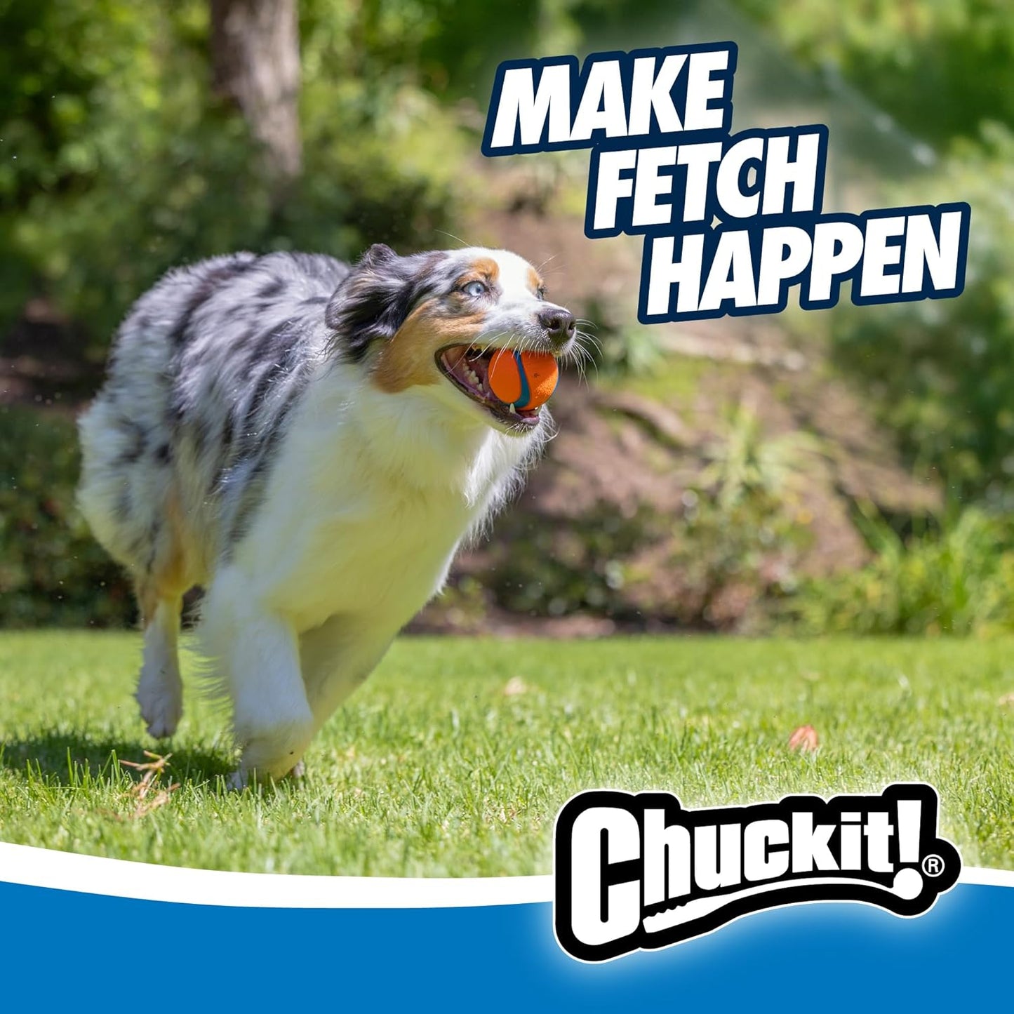 ChuckIt! Ultra Ball Dog Toy – Durable High Bounce Floating Rubber Balls (2-Pack Medium)