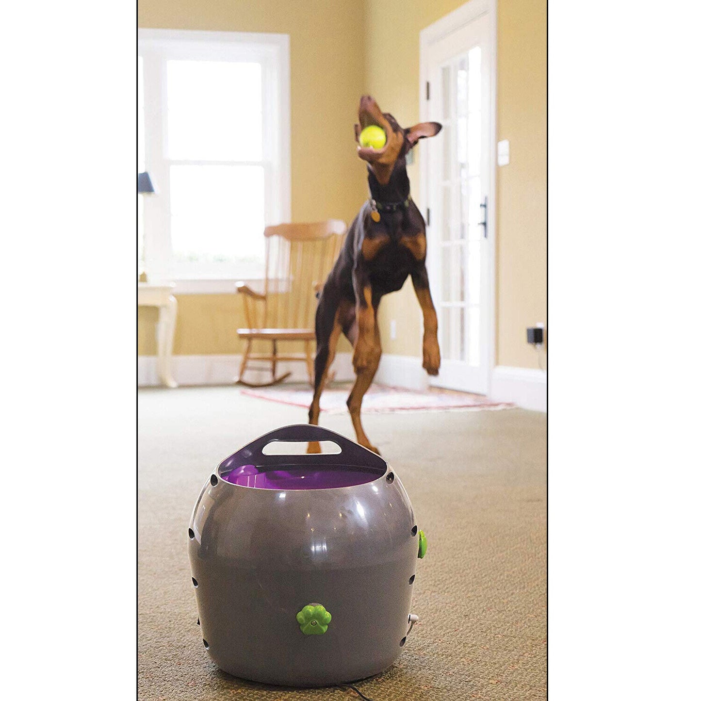 Petsafe Automatic Ball Launcher – Dog Outdoor Tennis Ball Thrower, Model Pty19-15850 – Perfect for Fetch and Active Play