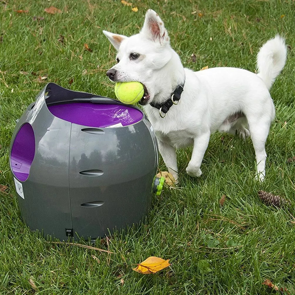 Petsafe Automatic Ball Launcher – Dog Outdoor Tennis Ball Thrower, Model Pty19-15850 – Perfect for Fetch and Active Play